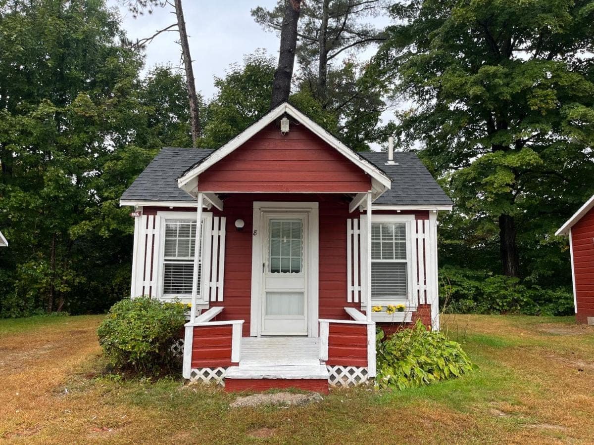 Cabin eight framed by the pines
